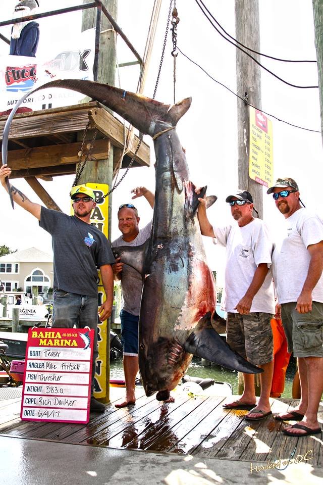 583 Pound Thresher and $64,000 Mako
