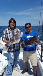 18839030_10159001116715105_5830359836317025108_n-1