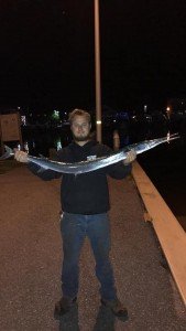 18767824_1486590838078239_8961638921167250061_n