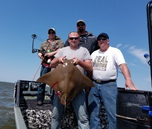 Resized_20170603_152647-01