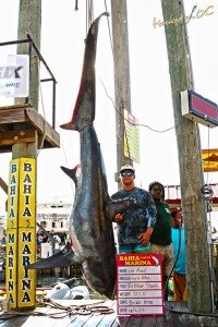 18814231_10154730985666448_3176162183133846975_n