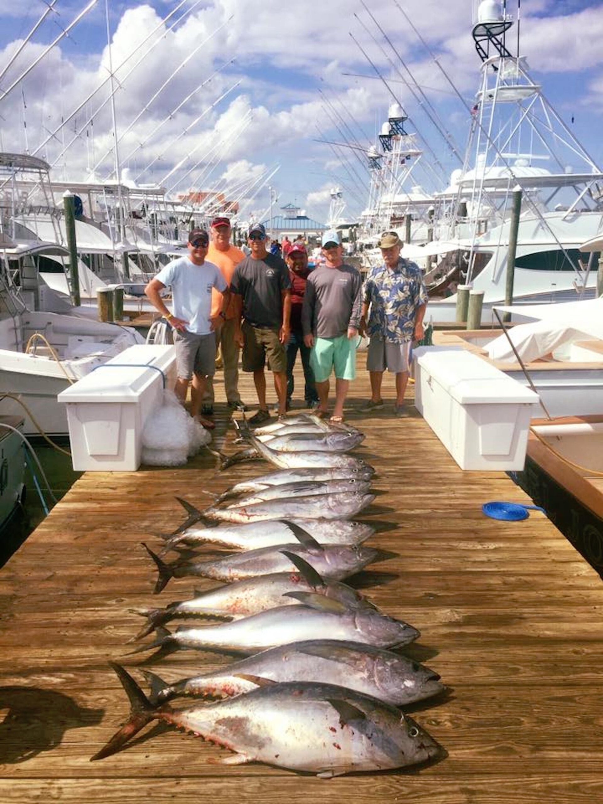 What A Difference A Day Makes