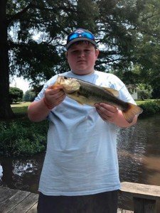 20045808_1240049532787546_1840790045_n