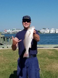 19970865_1753633387988006_1840642752_n