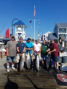 19894915_1574336179264896_7760263214188076983_n