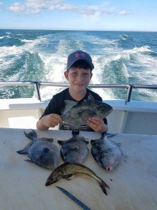 19989672_2005012802857540_95911370354469671_n