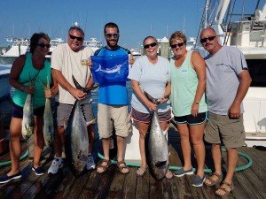 19756402_1694352964202888_4165624063104687390_n