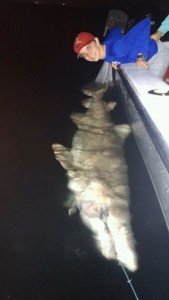 19732212_1344837328903347_3799669275316447544_n