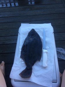 19884271_144797599430262_294618925451427901_n