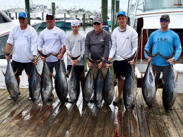 The Wind Blows and the Fish Bite