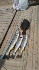 19656948_671479819713071_3288035133193060967_n