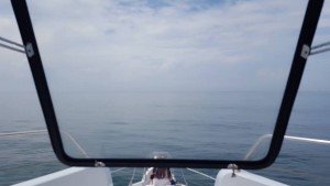 19756873_10159171084235105_6194109446067912360_n