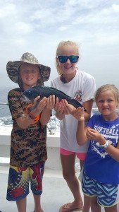 19665588_10159171083375105_7848807165581223581_n