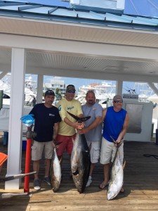 19657392_142686172974738_7860129970100112913_n