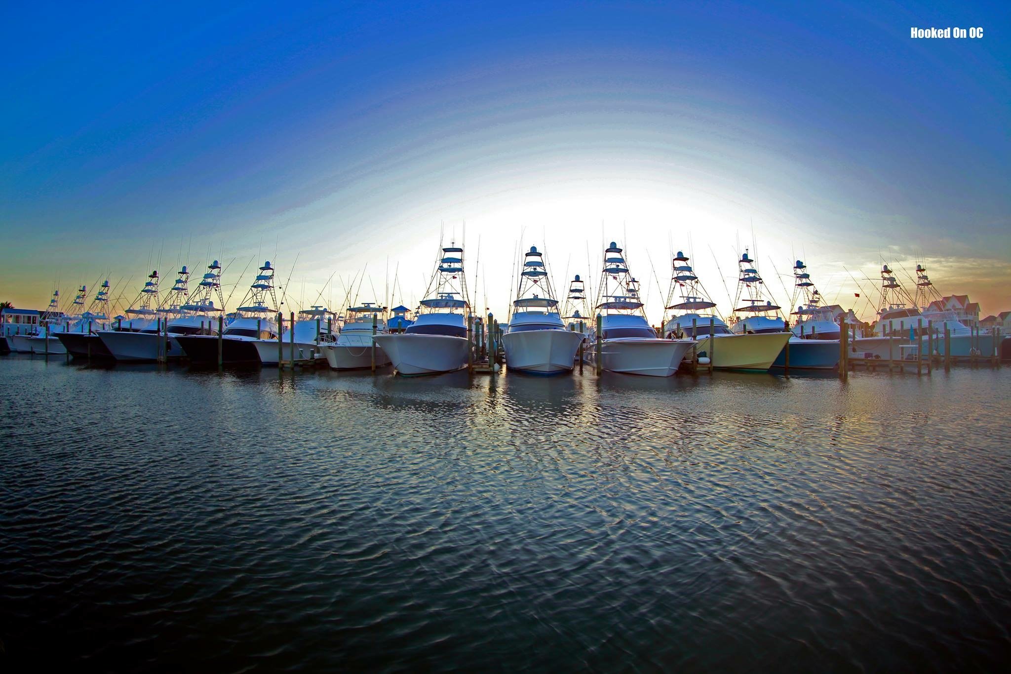 WMO Has Estimated $4.9 Million on the Line