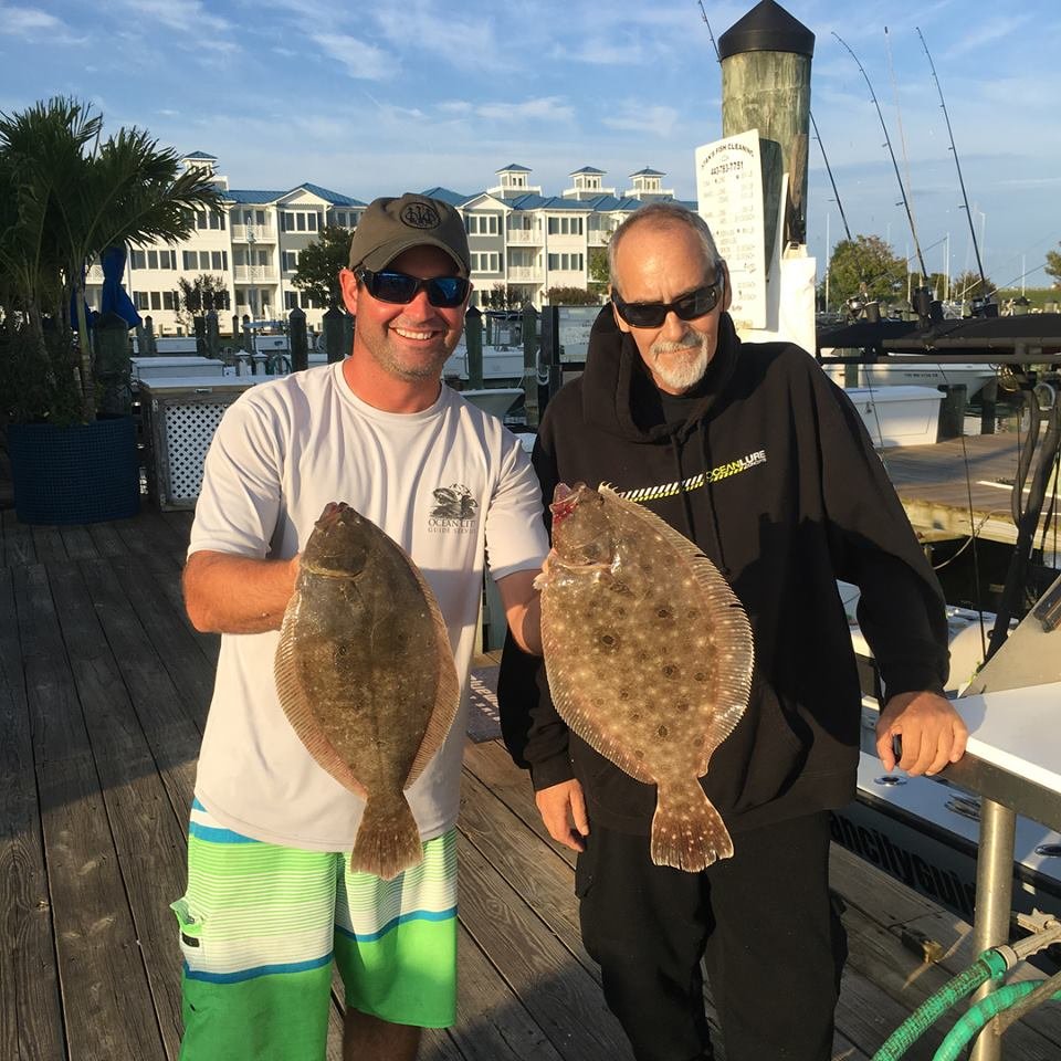 Last Sea Bass For A Month
