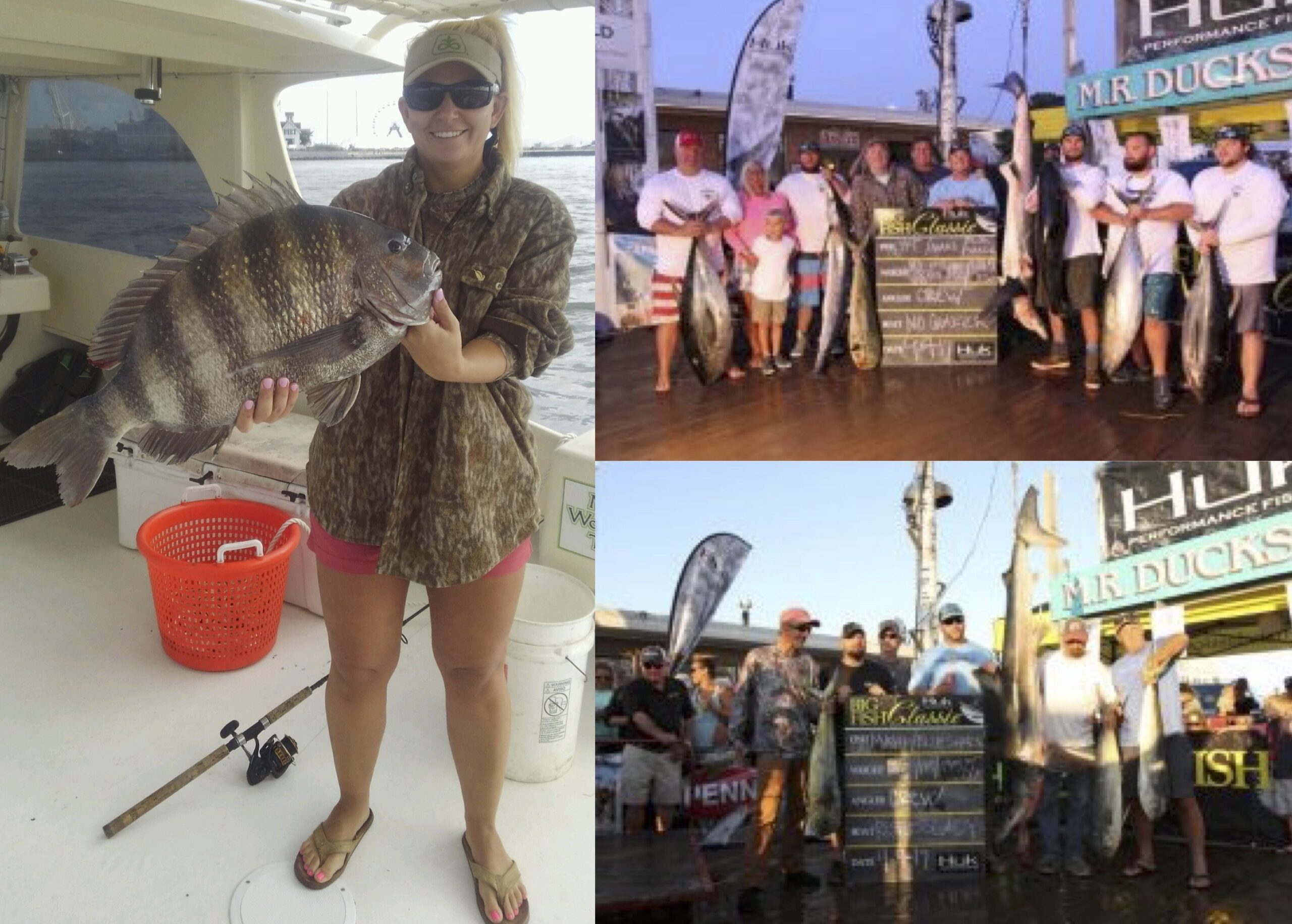 A Couple of $60,000 Blue Sharks