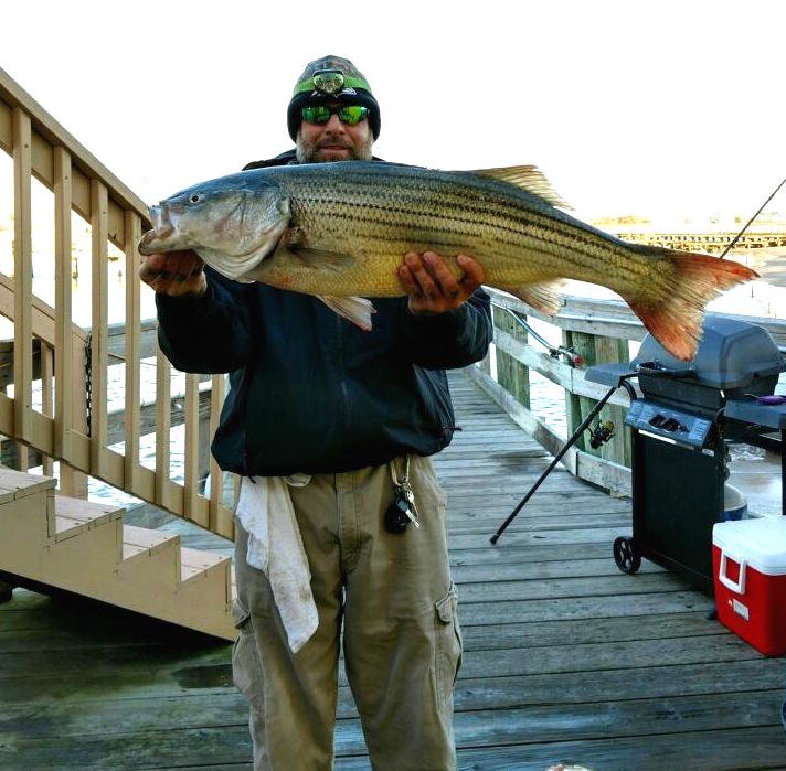 Big Keeper Rockfish in the Bay