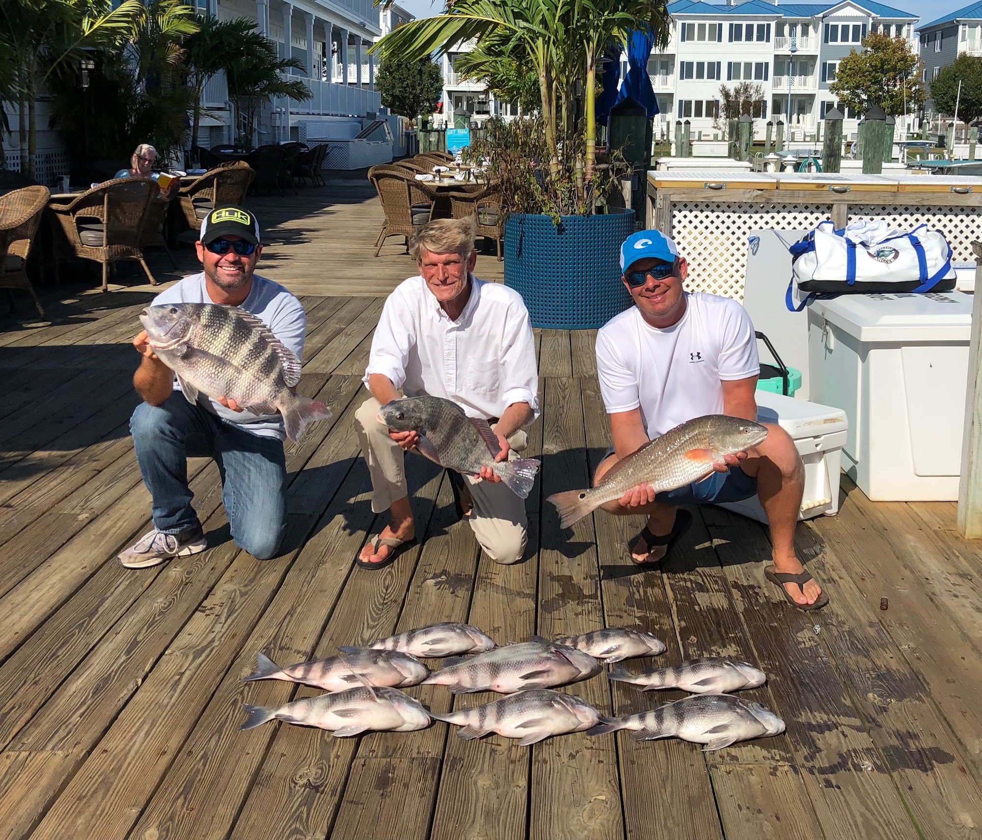 All Kinds of Fish Inshore