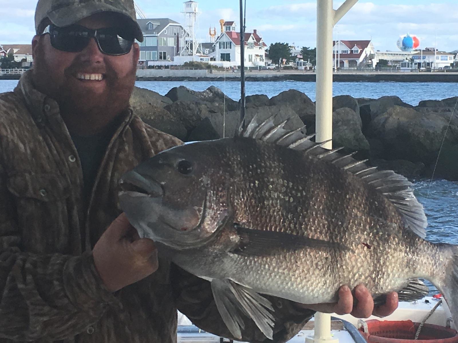 Another Big Sheepshead