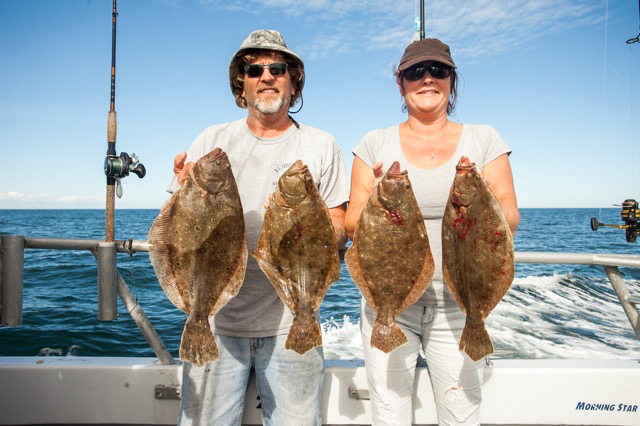 Resurgence of Flounder