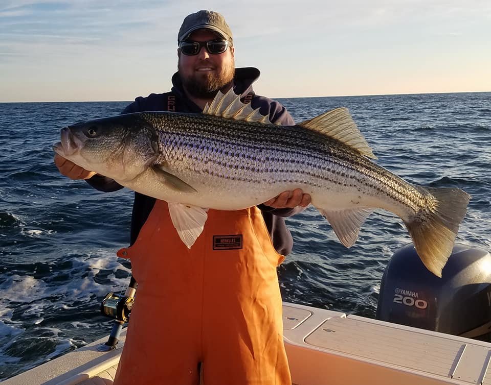 Big Rockfish Are Snappin’