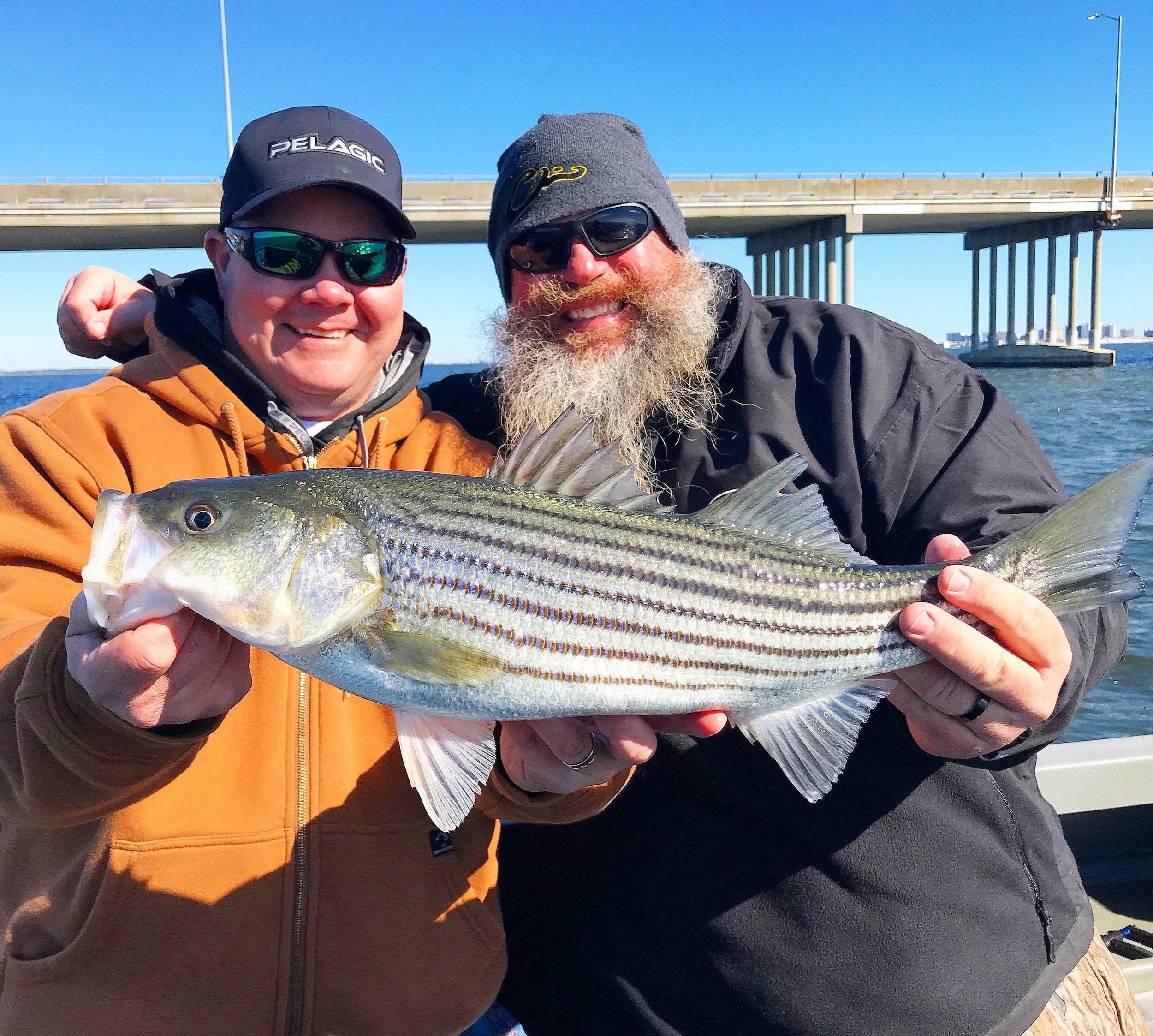 Rockin’ With The Pitboss