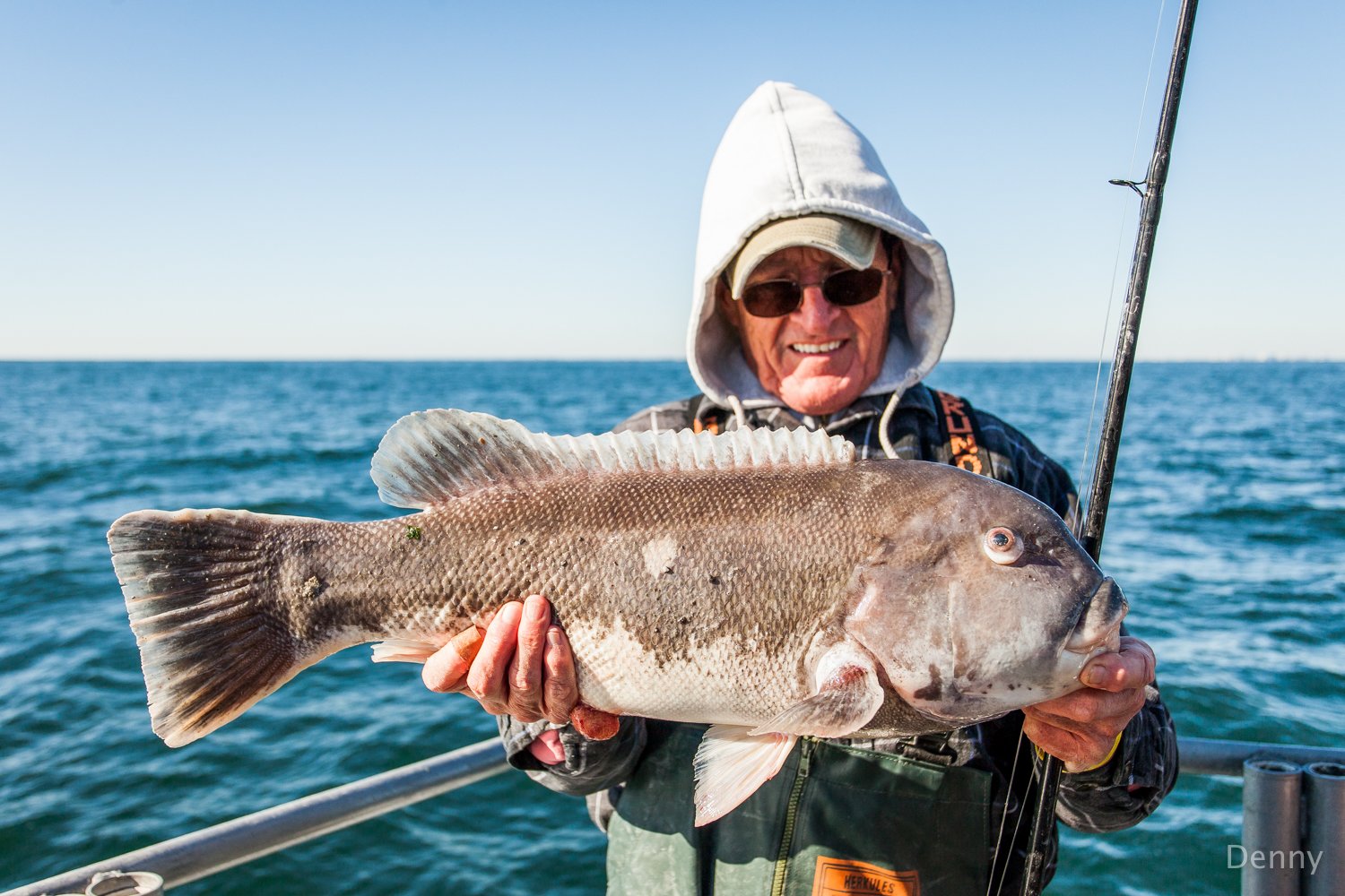 New MD Tautog Regulations for 2018