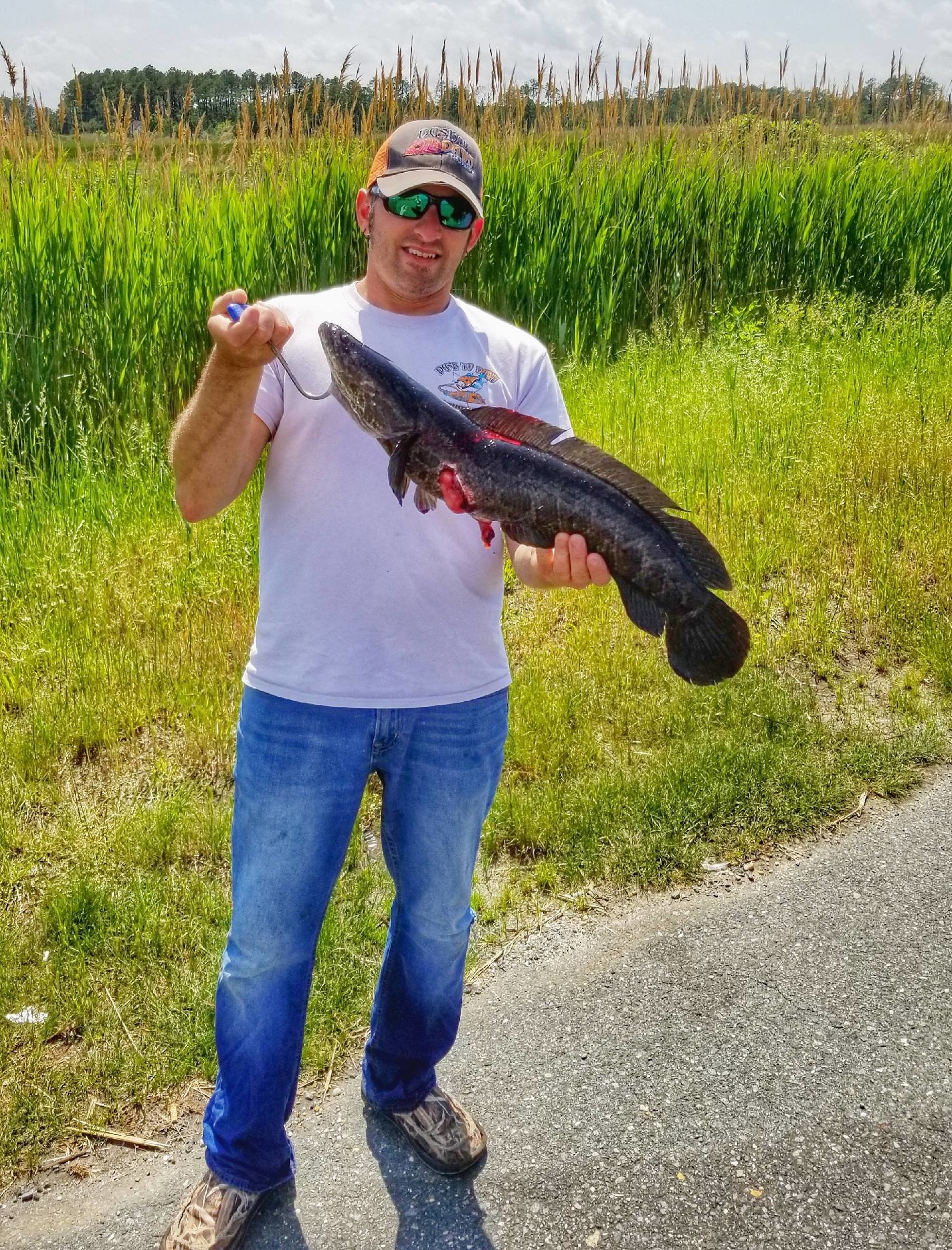 The Elusive Snakehead