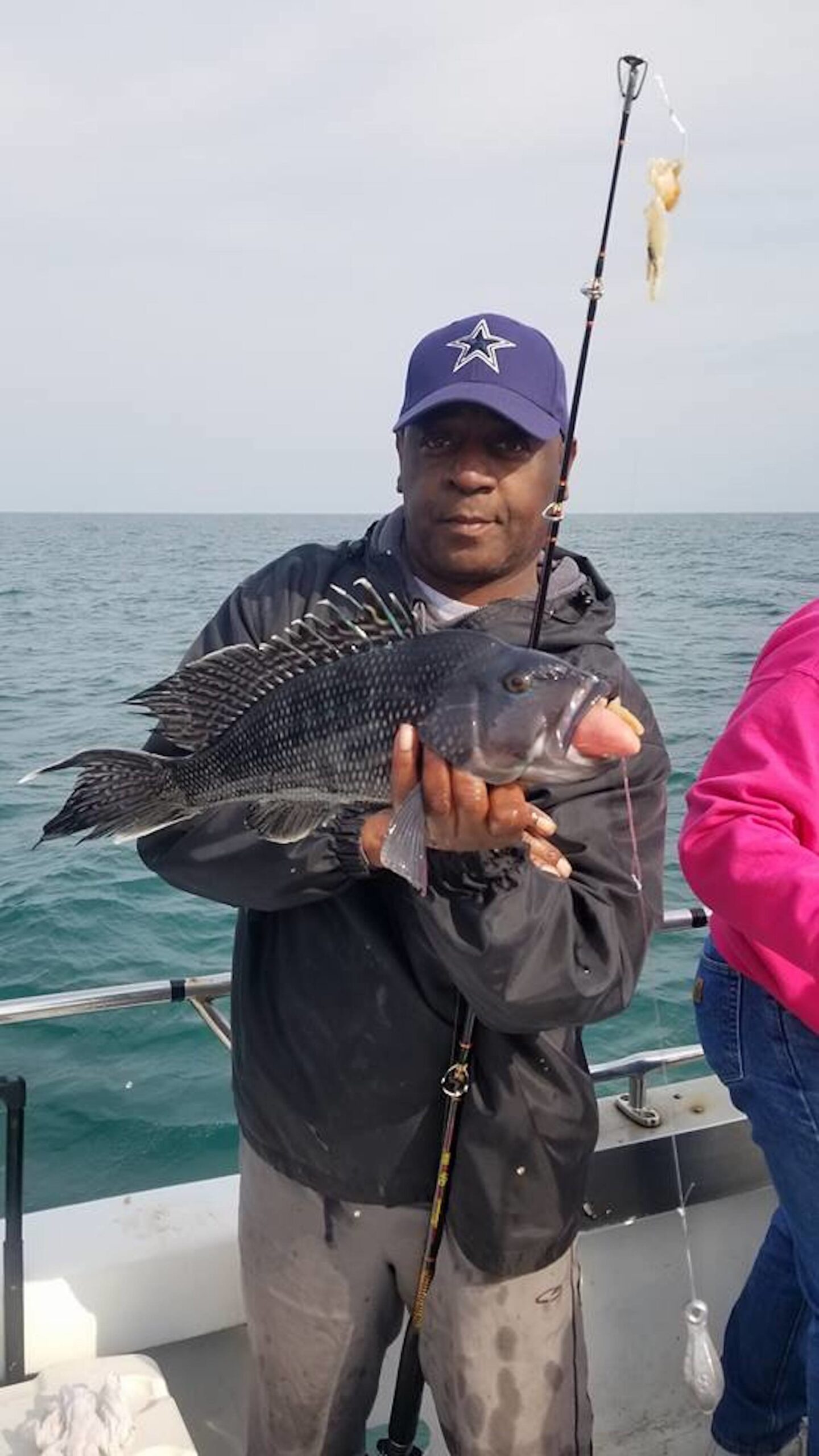 Limit of Nice Sea Bass