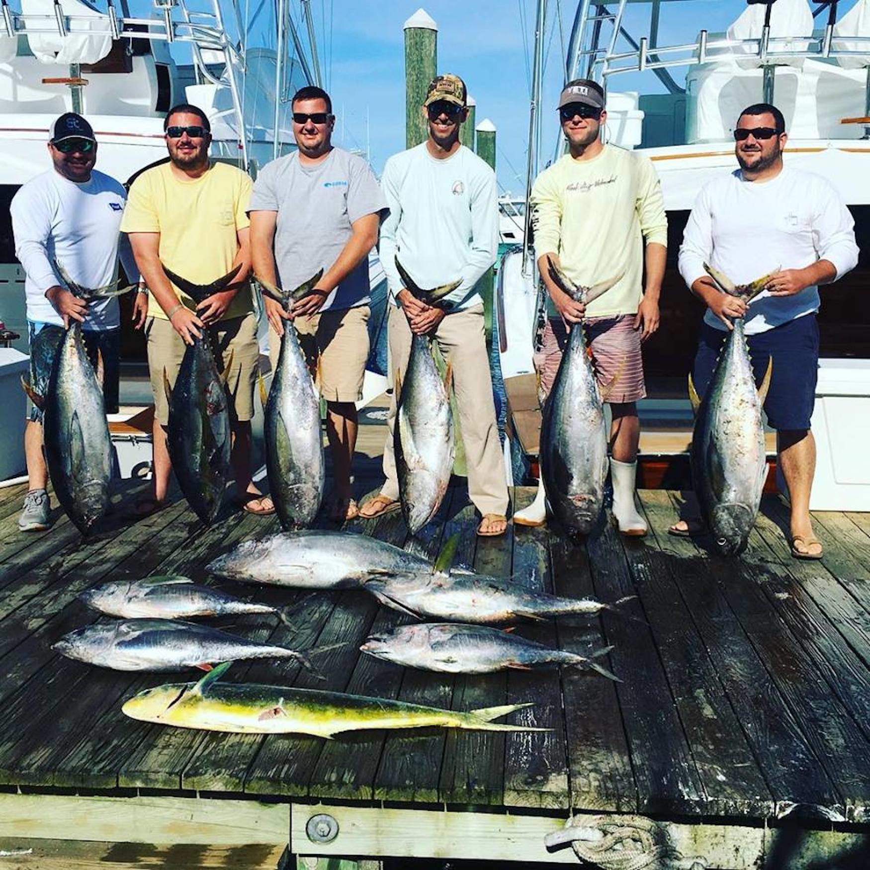 Tuna Are Still Snapping