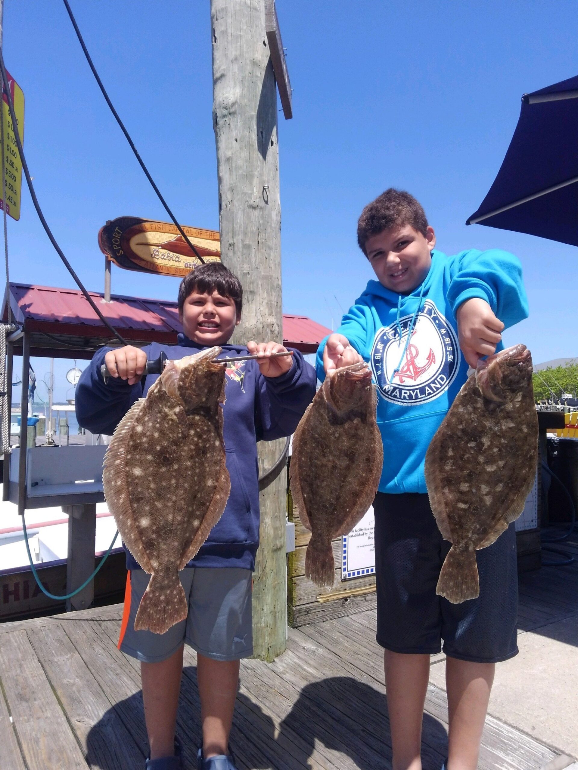 Flounder and a Couple Triggerfish