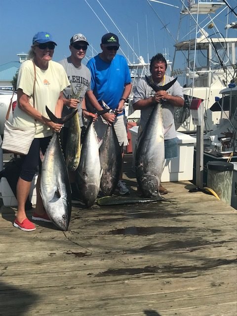 Limit of Bluefins