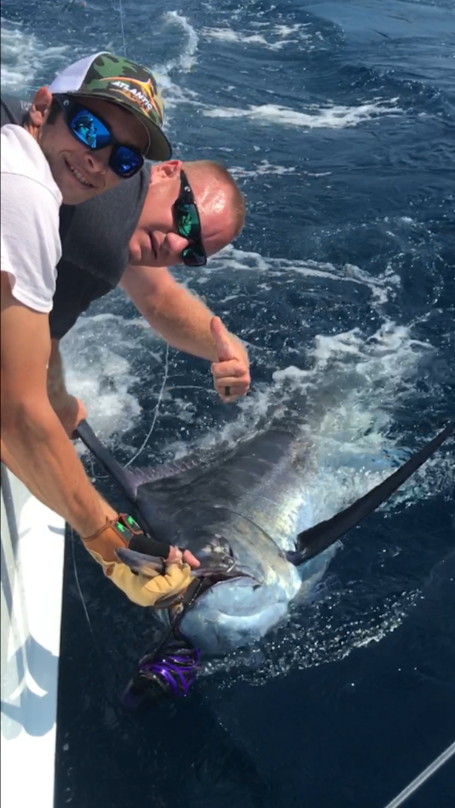 Not One, Not Two, But Three Blue Marlin