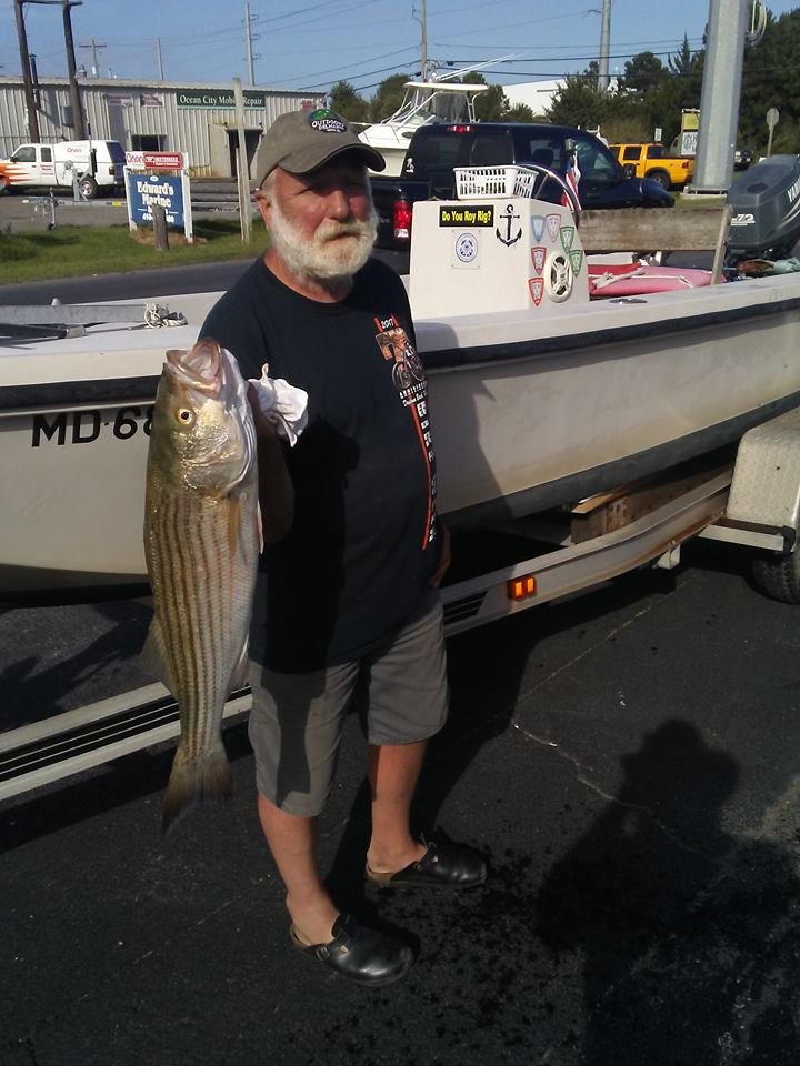 Get Back In A Rhythm