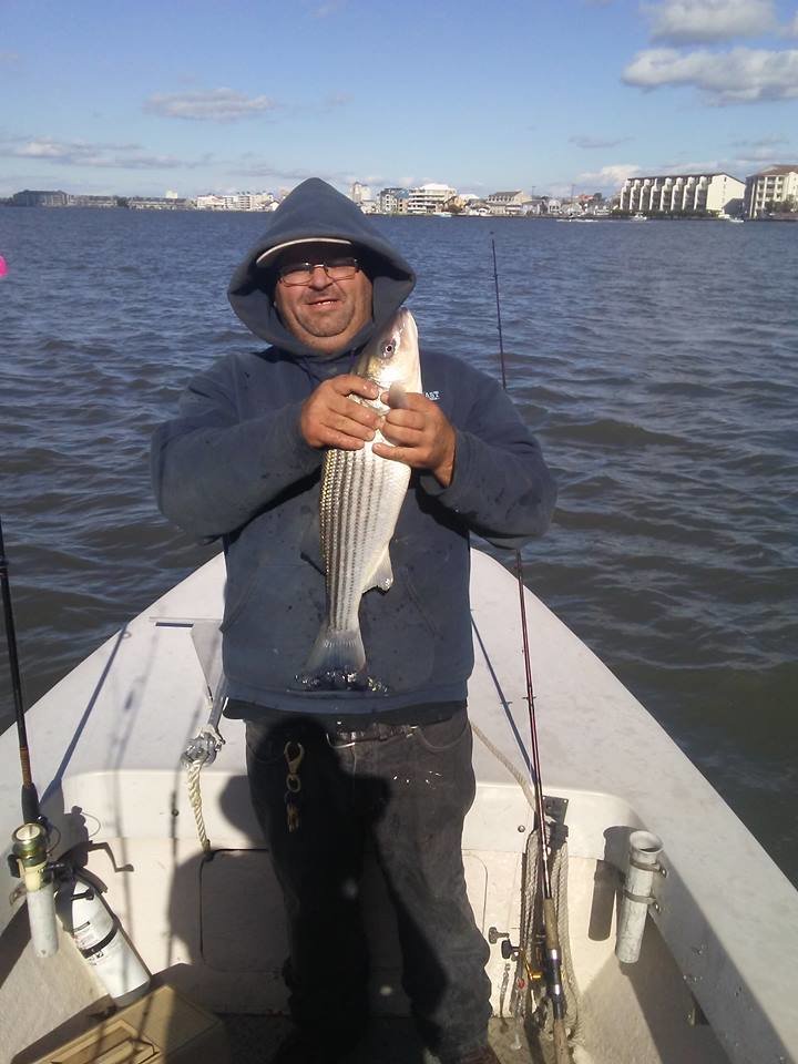 Rockin’ The Roy Rig