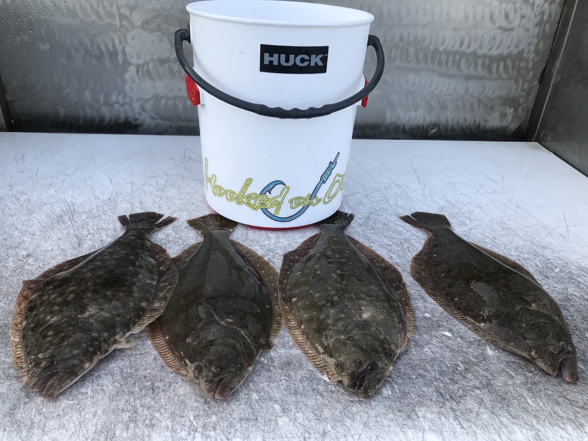 Bucket Full of Flounder