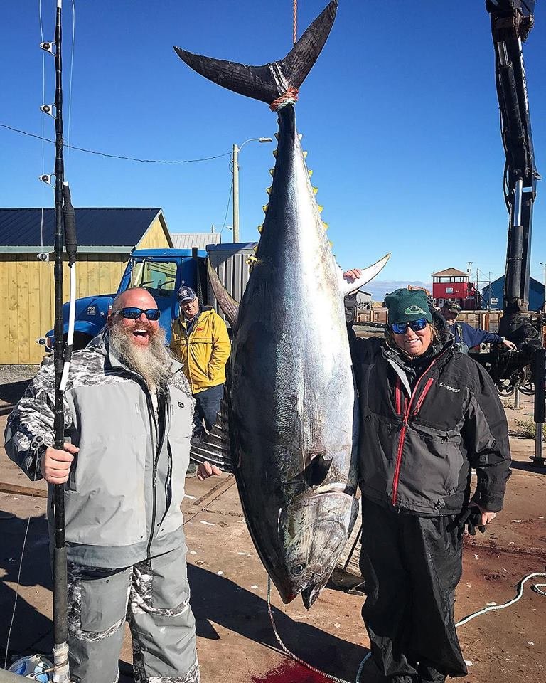 550 Pound Bluefin Tuna
