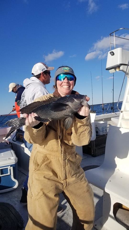 Sea Bass Limit