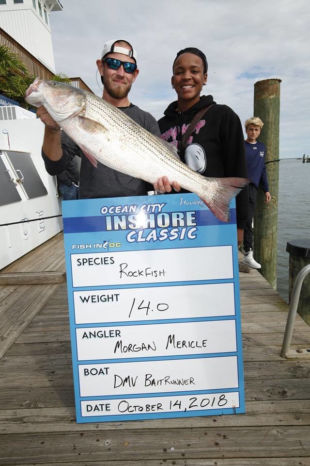 $3,800 Rockfish