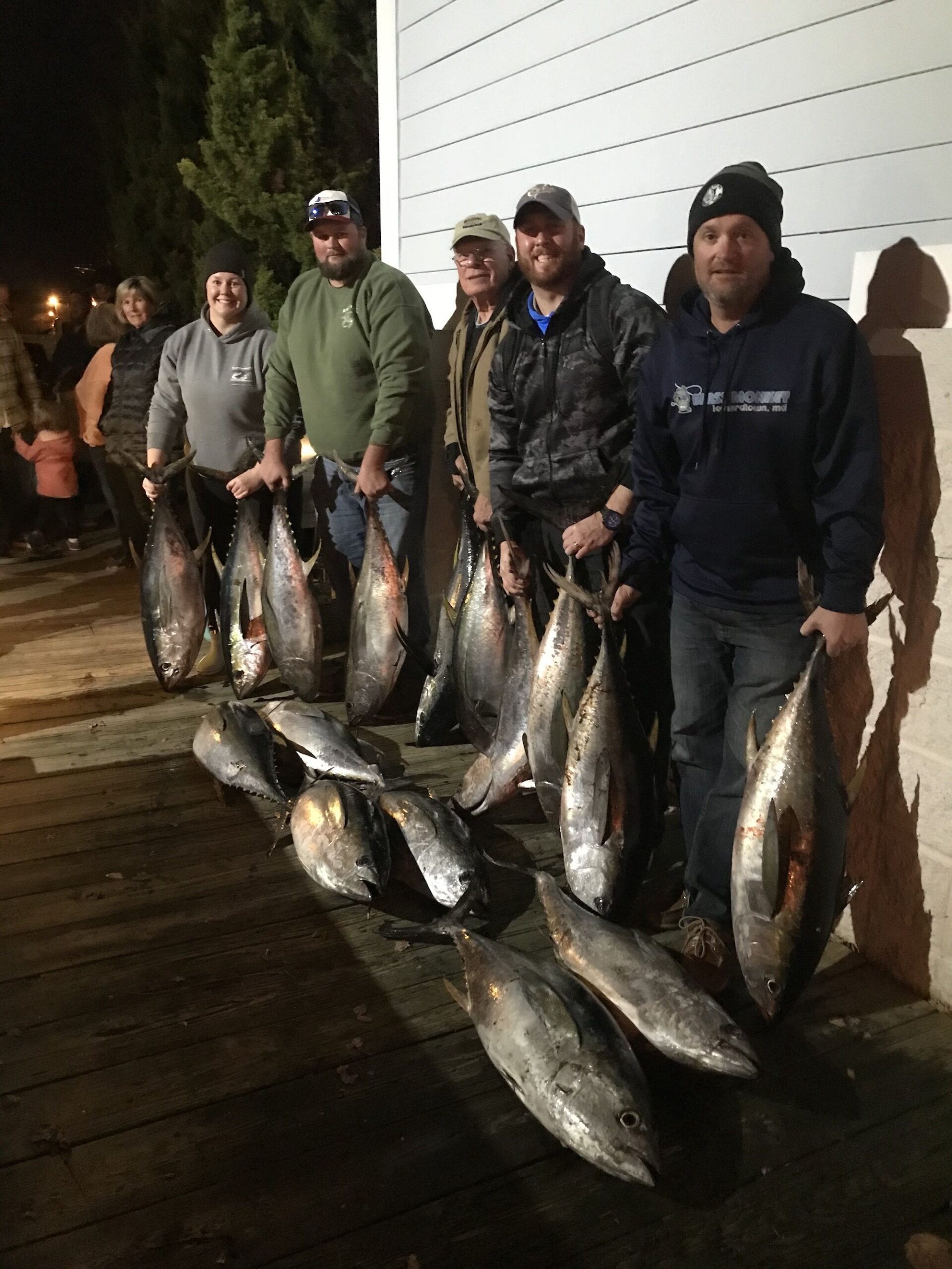 16 November Yellowfins