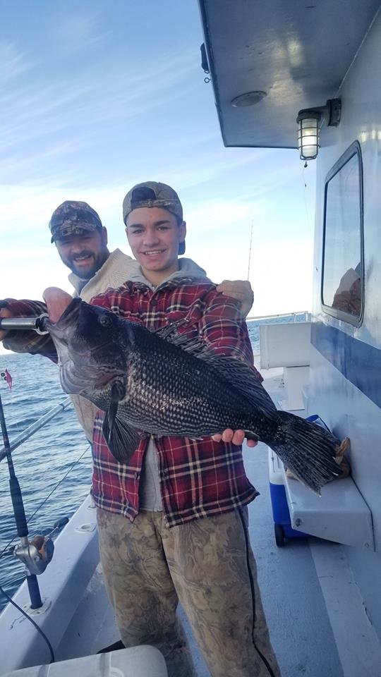 JUMBO Sea Bass