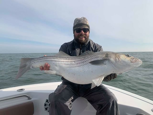 Some Big Ol’ Rockfish