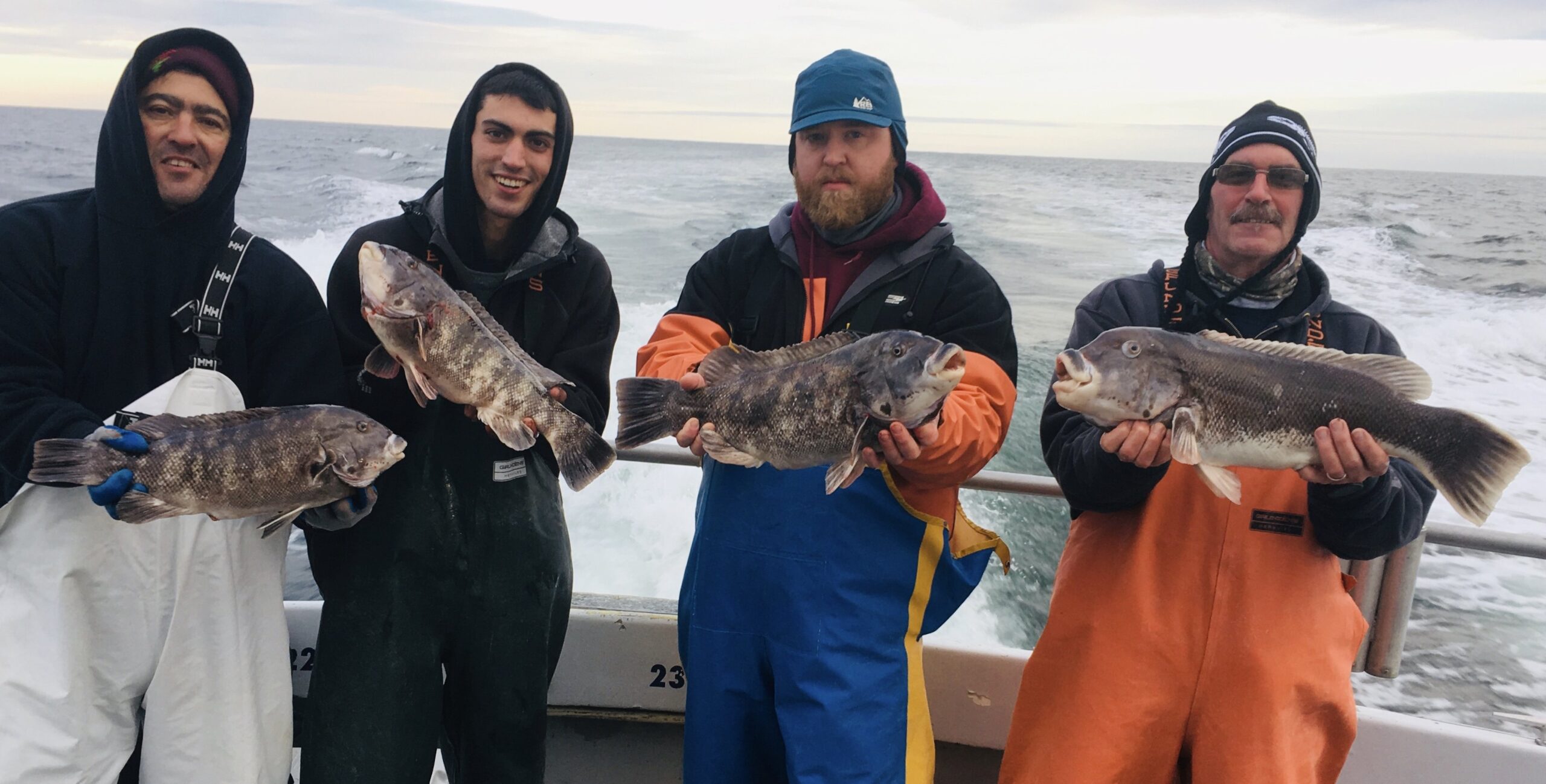 Gorgeous Day Off Here