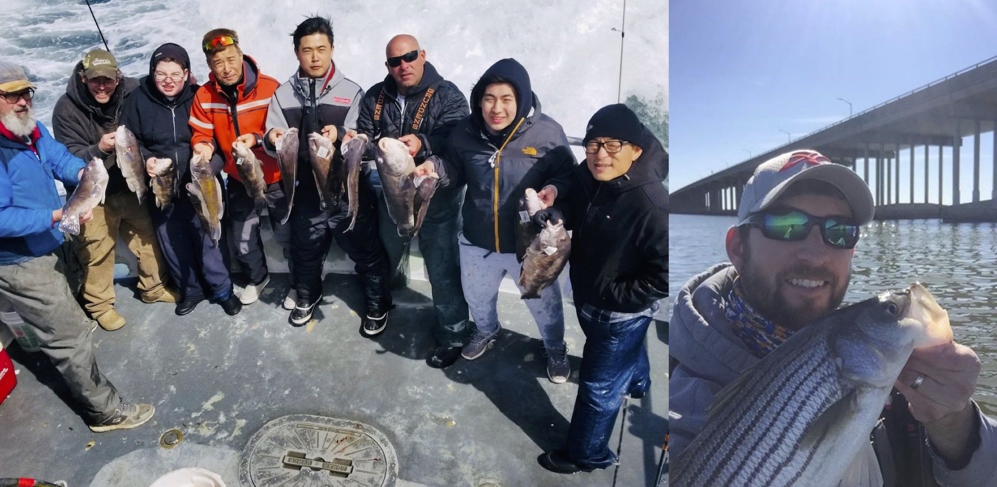 Tautog and Selfies
