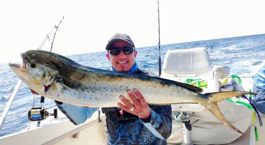 First Mahi From Our Canyons
