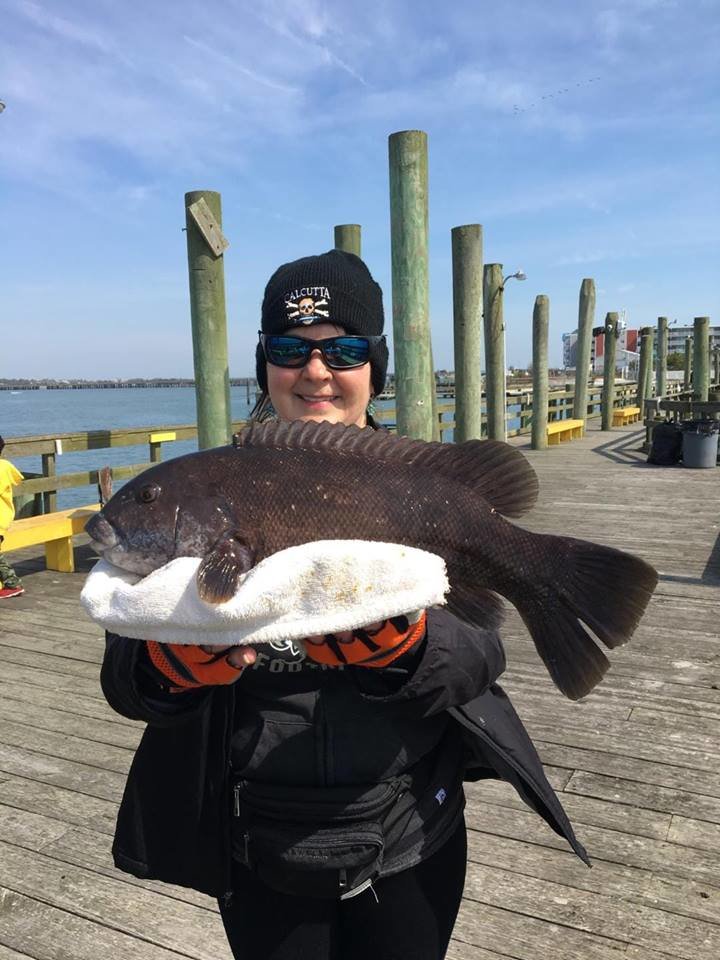 Nice Bay Tautog