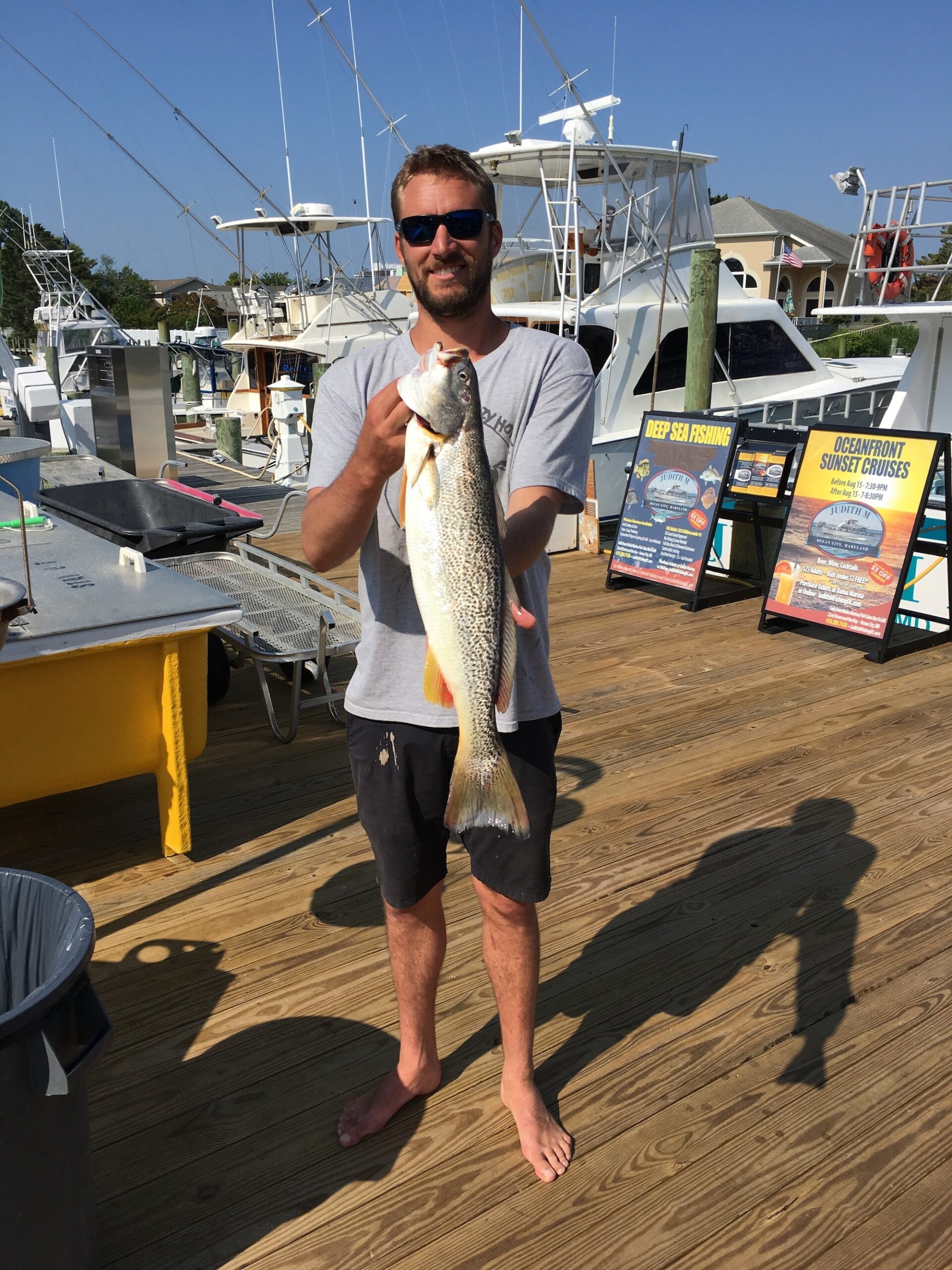 Sheepshead and Trout