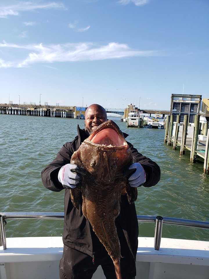 Big, Ugly Monkfish