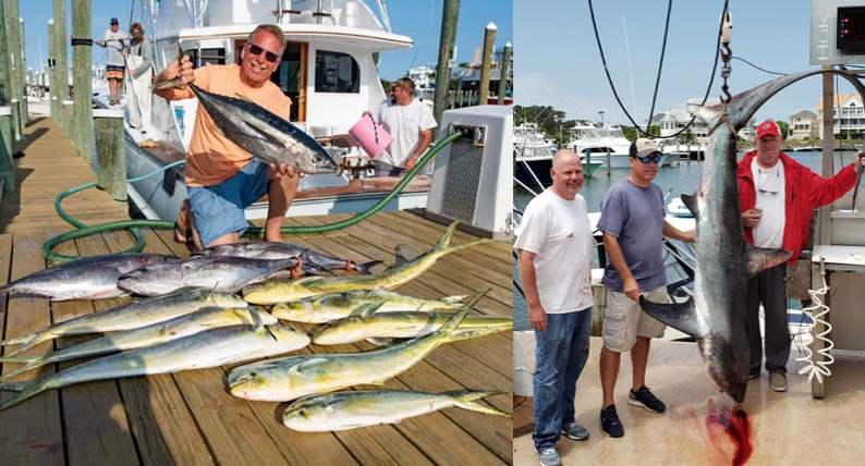 Nice Thresher Shark and First Yellowfin Tuna of the Season